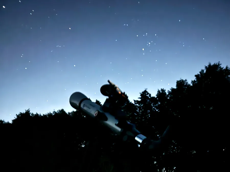 森林公園の夜空にたくさんの星が出ている。どれが何の星かは分からない