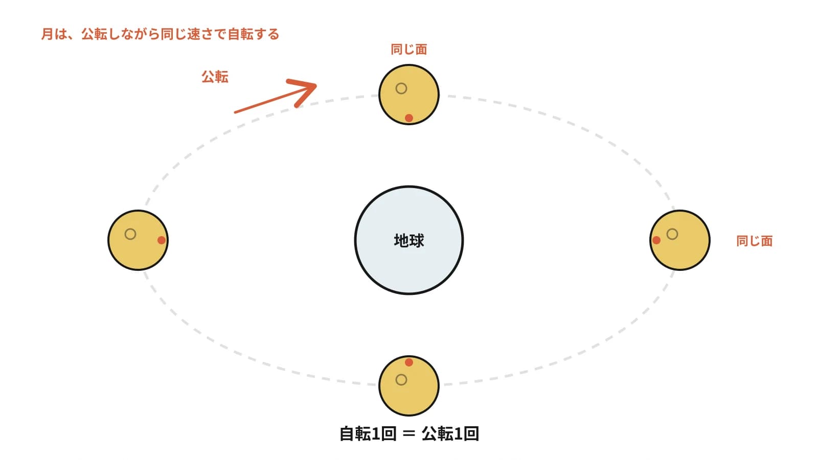 自転と公転が同じ周期で進むため同じ面を向け続けるしくみの図